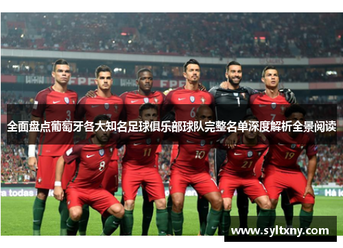 全面盘点葡萄牙各大知名足球俱乐部球队完整名单深度解析全景阅读