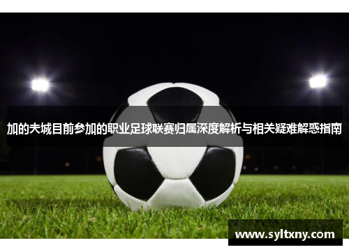 加的夫城目前参加的职业足球联赛归属深度解析与相关疑难解惑指南